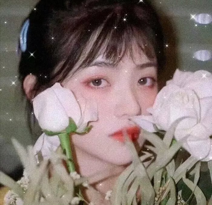 重生退婚妻
